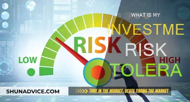 Understanding Your Personal Investment Risk Tolerance