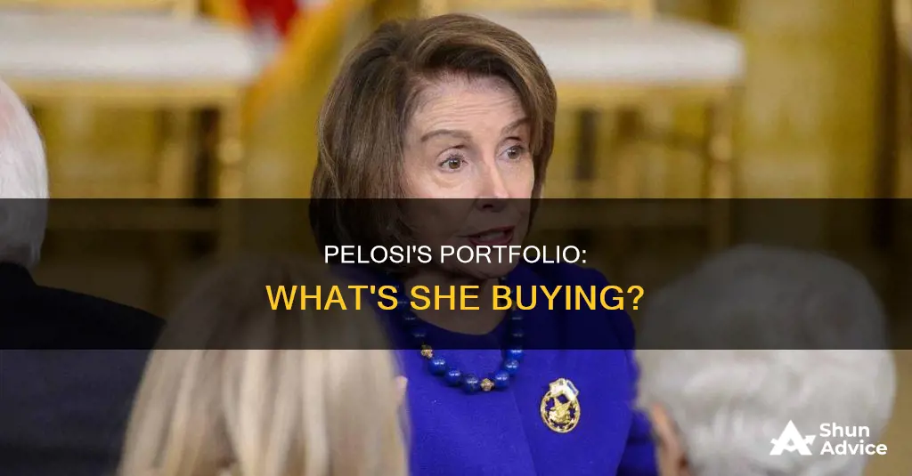 what is nancy pelosi invested in right now