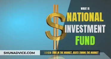 Understanding National Investment Fund: A Country's Economic Lifeline