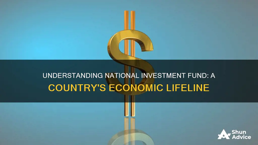 what is national investment fund