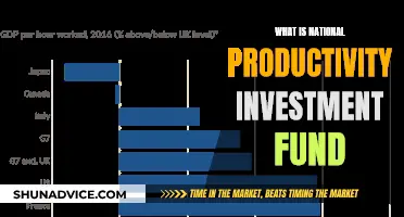 Understanding the National Productivity Investment Fund