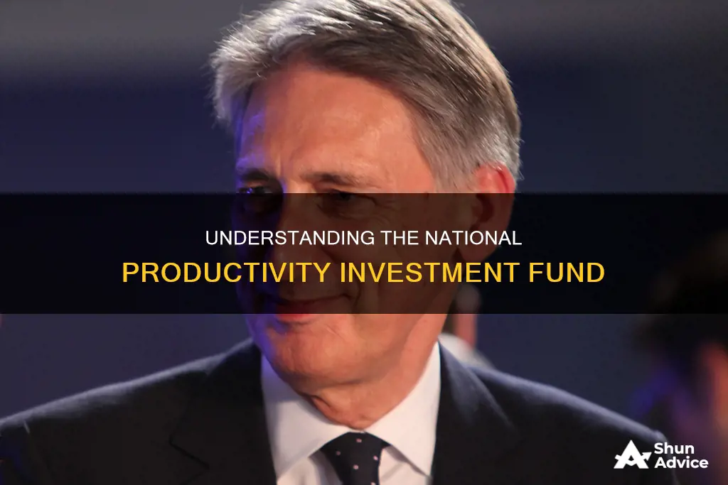 what is national productivity investment fund