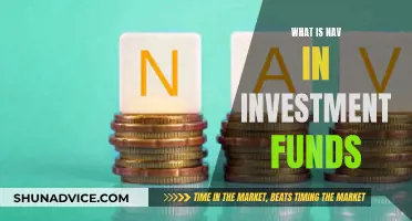 Understanding Net Asset Value in Investment Funds