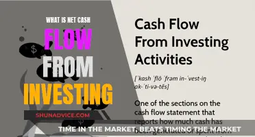 Understanding Net Cash Flow: Investing Strategies and Impact