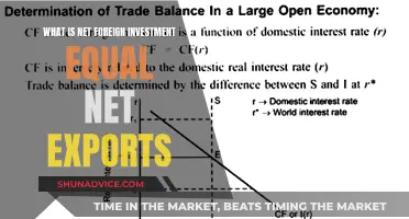 Understanding the Link: Net Foreign Investment and Net Exports