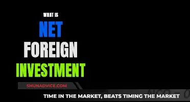 Understanding Net Foreign Investment: A Comprehensive Guide