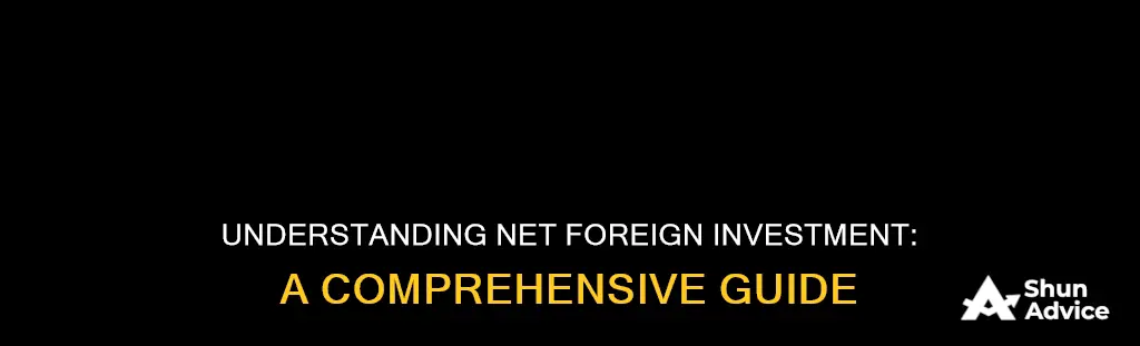 what is net foreign investment