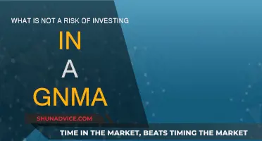 GNMA Investments: Understanding the Minimal Risk Profile