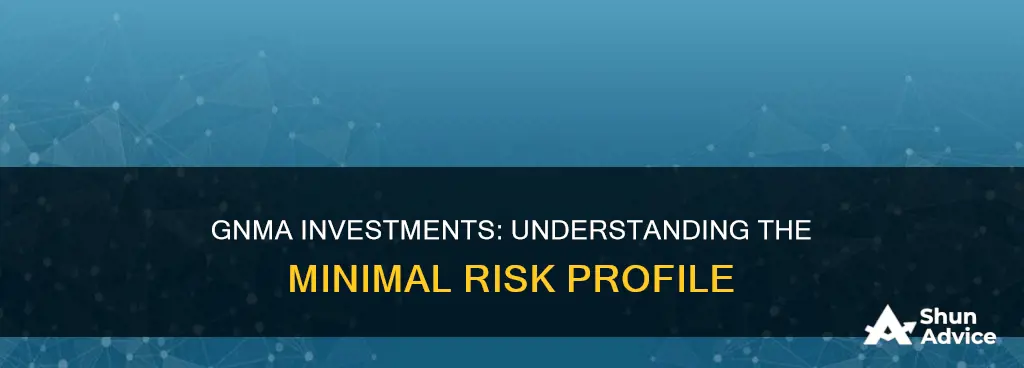 what is not a risk of investing in a gnma