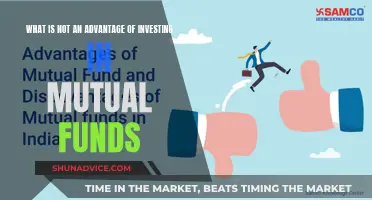 Mutual Funds: Risks and Drawbacks of Investing