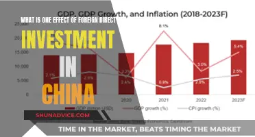 Foreign Direct Investment's Impact: China's Economic Growth