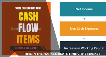 Investing Cash Flow: Exploring Other Items