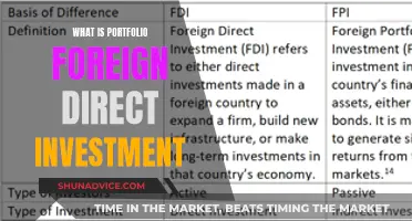 Understanding Portfolio Foreign Direct Investment: A Comprehensive Guide