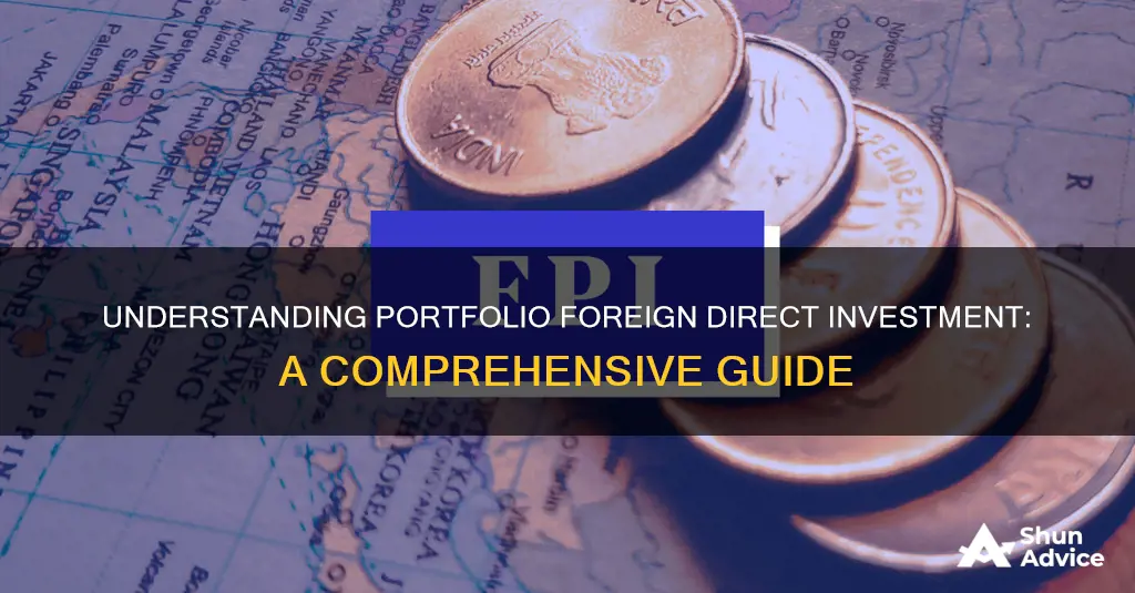 what is portfolio foreign direct investment