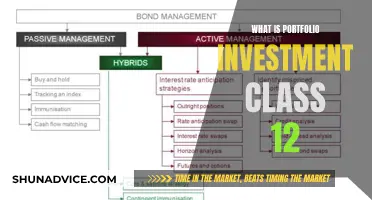 Portfolio Investment Strategies: A Guide for Class 12 Students