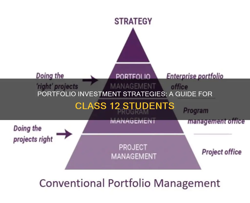 what is portfolio investment class 12