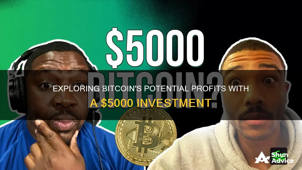 what is possible profit if 5000 invested in bitcoins