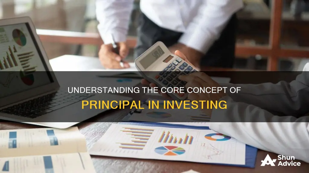 what is principal in terms of investing