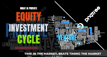 Understanding the Private Equity Investment Cycle