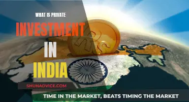 Private Investment in India: What's the Deal?