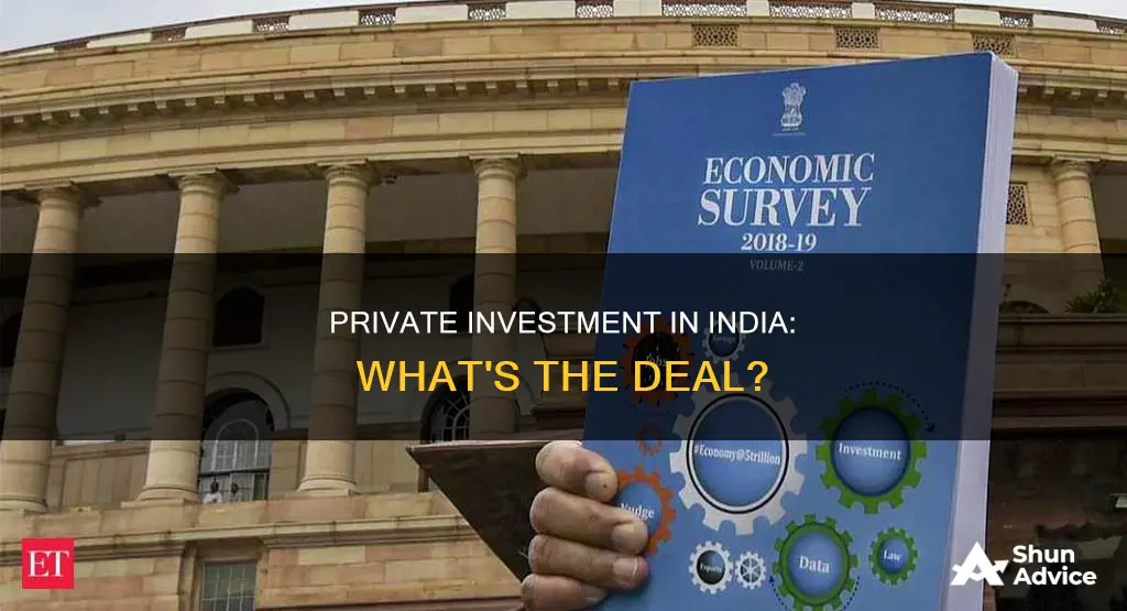 what is private investment in india