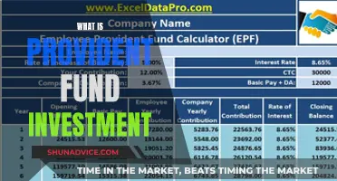 Understanding Provident Fund Investment Schemes and Benefits