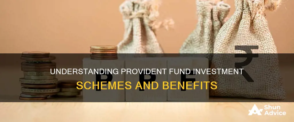 what is provident fund investment