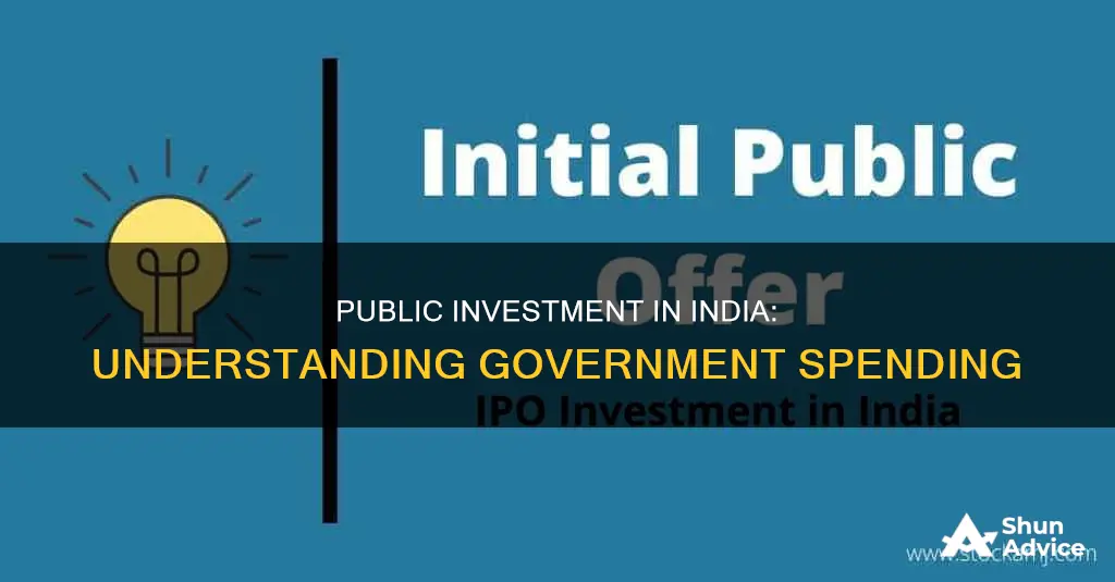 what is public investment in india