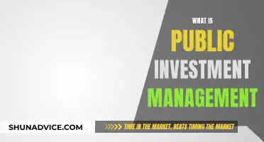 Public Investment Management: Strategies for Effective Government Spending