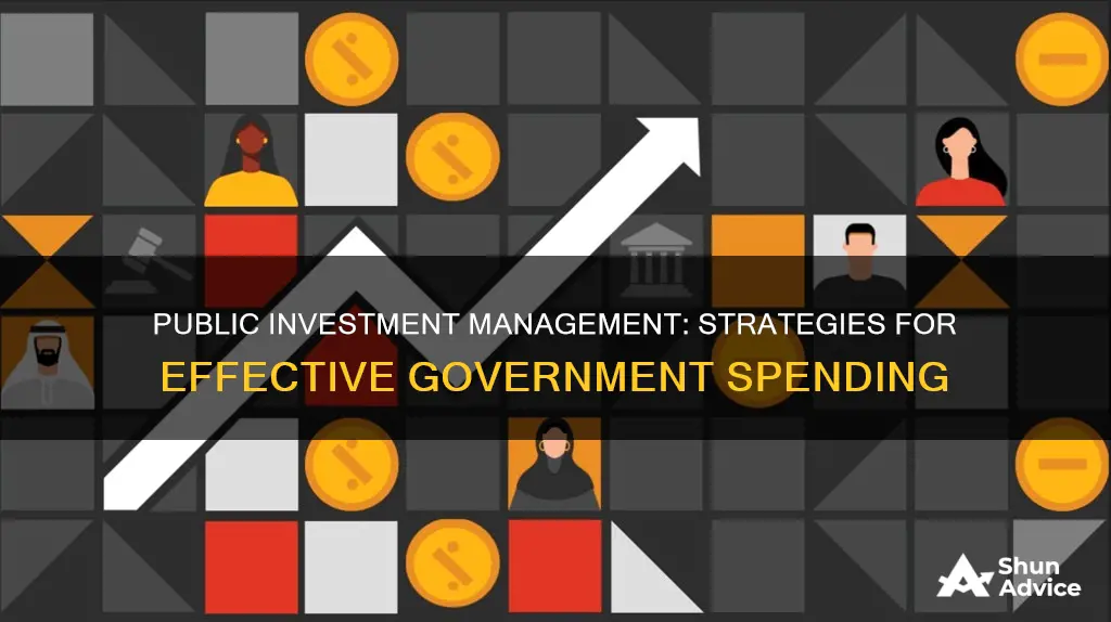 what is public investment management