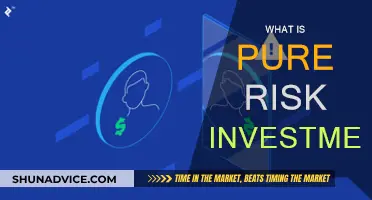 Understanding Pure Risk Investment Strategies: A Guide