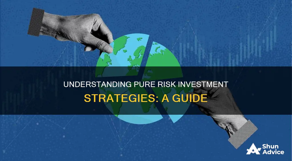 what is pure risk investment