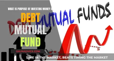 Why Debt Mutual Funds Are Worth Investing In