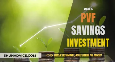 The PVF Savings Investment: A Smart Financial Move