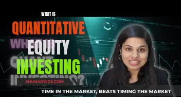 Equity Investing: Quantitative Strategies for Stock Market Success