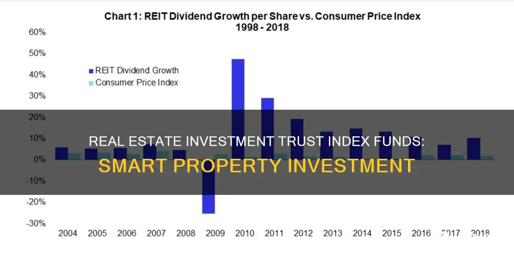 what is real estate investment trust index fund