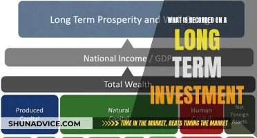 Unlocking the Secrets of Long-Term Investment: What's Really Recorded