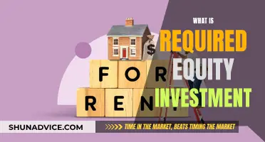 Equity Investment: What's Required and Why?