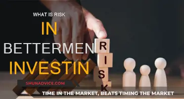 Betterment Investing: Understanding the Risk Factor