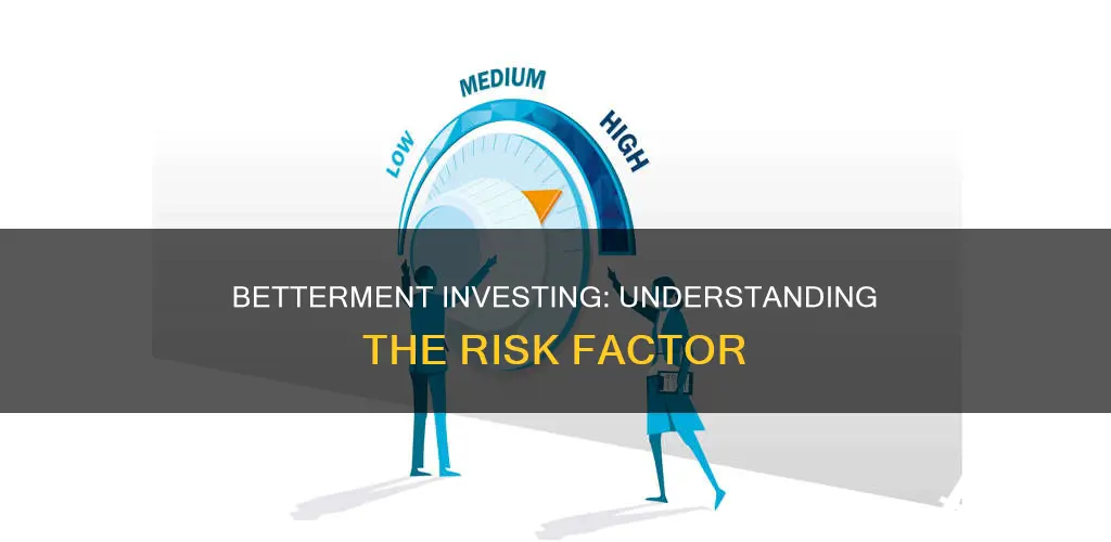 what is risk in betterment investing