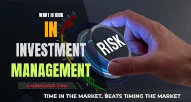 Understanding Risk in Investment Management