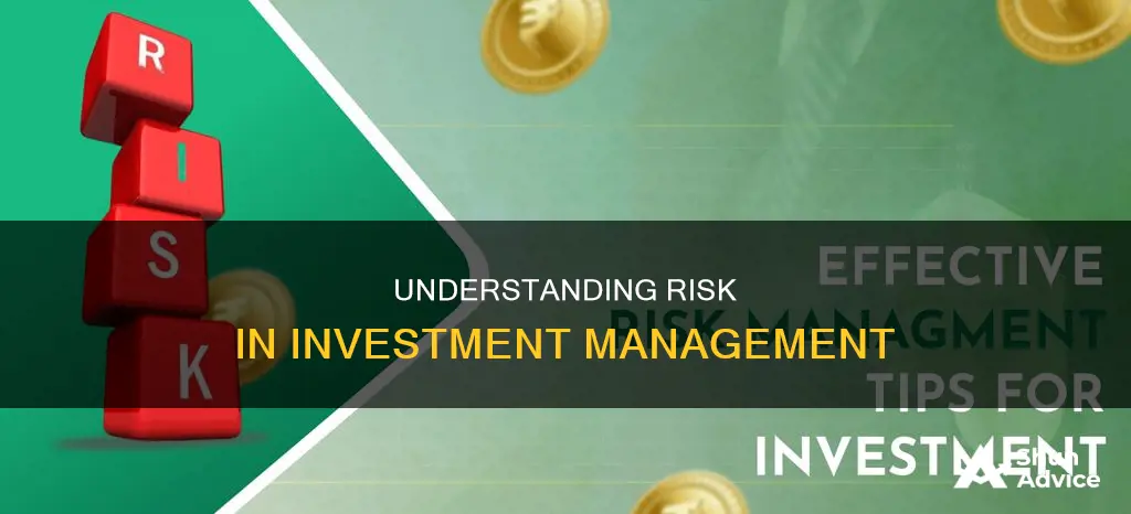 what is risk in investment management