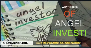 Angel Investing: High Risk, High Reward