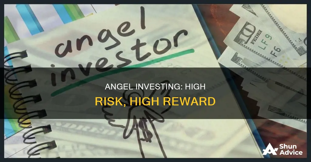 what is risk of angel investing