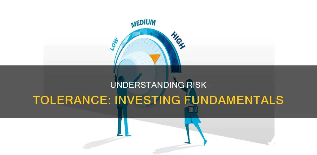 what is risk tolerance in investing