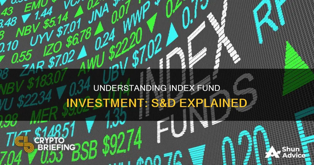 what is s and d index fund investment