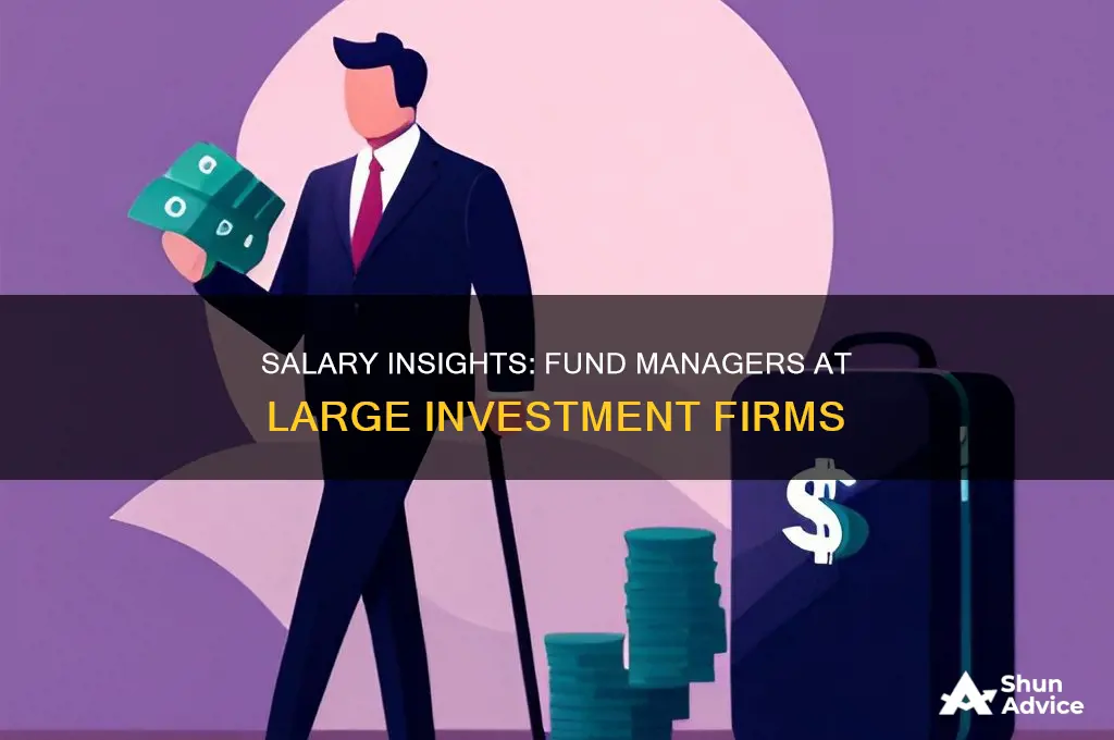 what is salary of fund managers at large investment firms