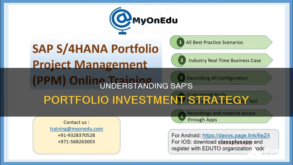 what is sap portfolio investment