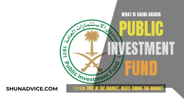 Saudi Arabia's Sovereign Wealth: Public Investment Fund