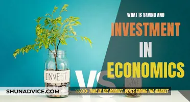 Saving and Investment Economics: Core Concepts Explained